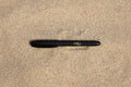 Pen