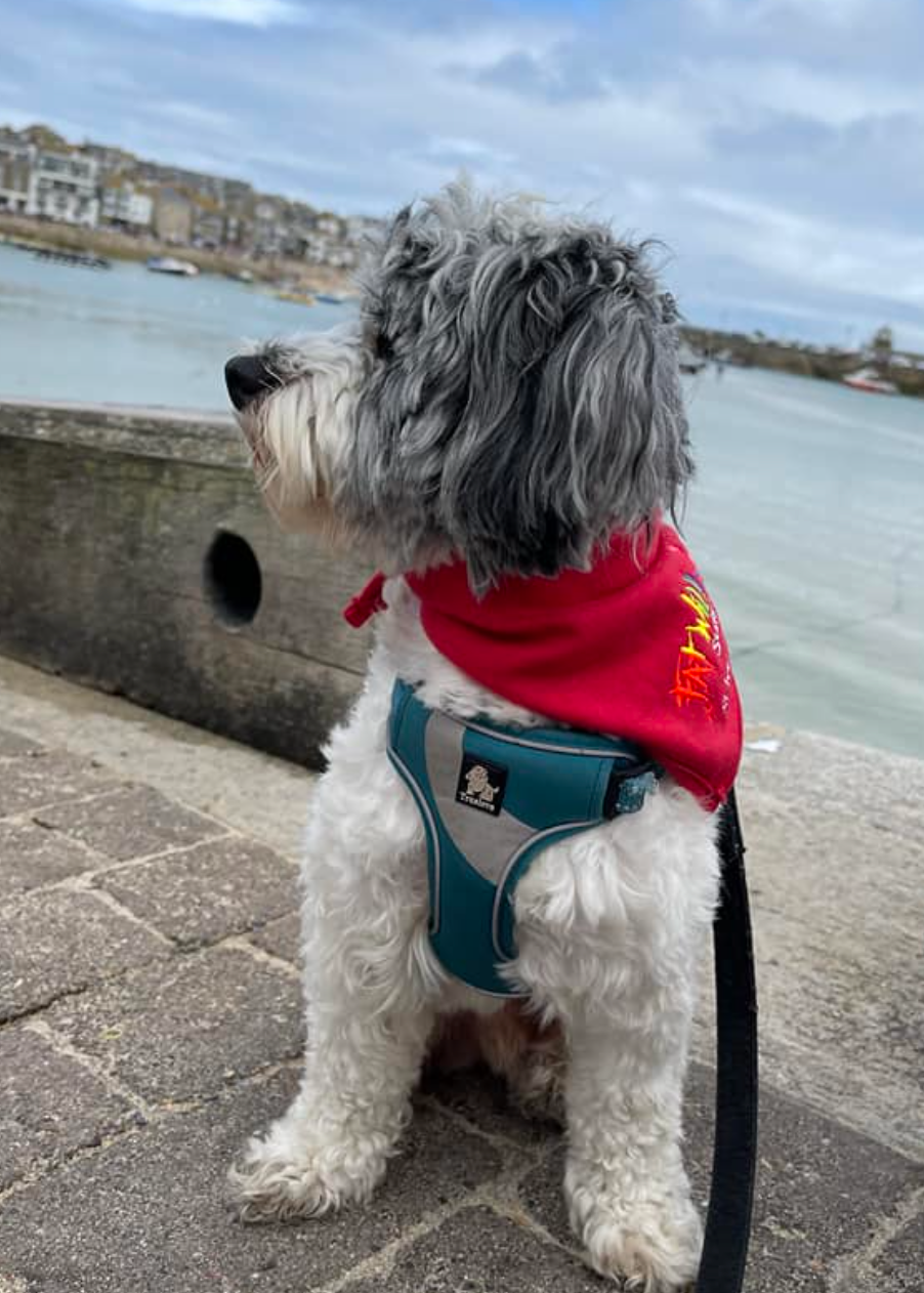 Bandana Bib